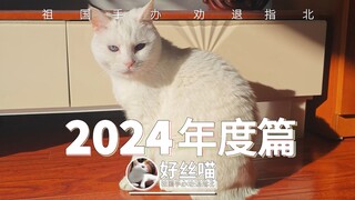 好日子在后头，但人要向前看【祖国手办 劝退指北】2024年度篇