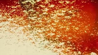 The Good, The Bad And The Ugly (Full Movie)