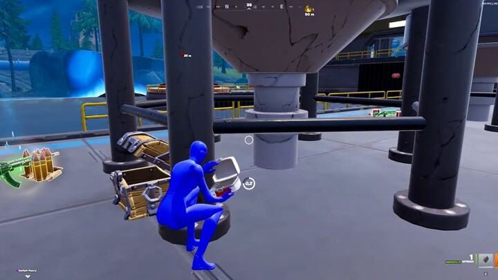 fortnite royal winner