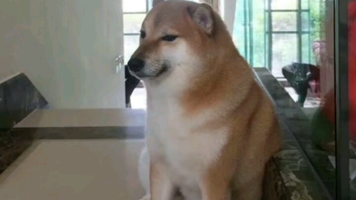 Ngồi đó mà tôi còn nghi là ảnh bị chỉnh sửa.