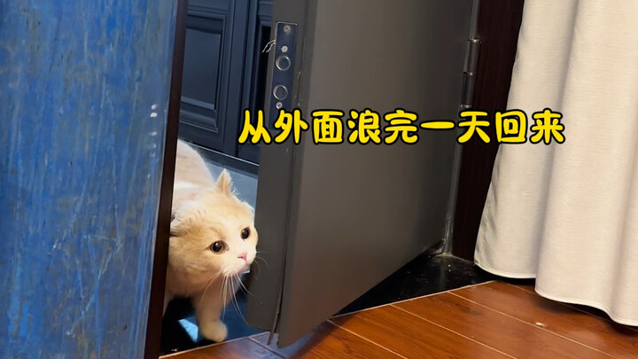 ความรักของพ่อไม่เกินสามวินาที