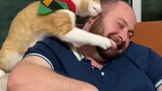 这就是人形猫薄荷吧？