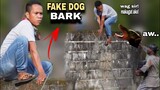 FAKE DOG BARK "PUBLIC PRANK" | Lakas nilang tumakbo