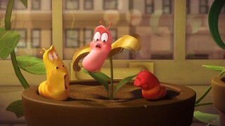 LARVA CẦN UỐNG SỮA - ẤU TRÙNG TINH NGHỊCH - HOẠT HÌNH CON SÂU HAY NHẤT 2022