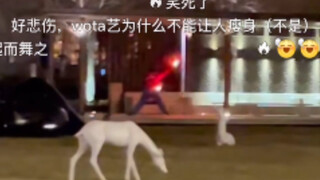这是天津的哪位打师，请认领一下出圈微博