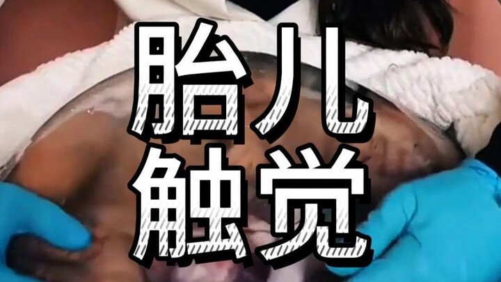 ลูกน้อยสามารถรับรู้การสัมผัสผ่านผนังหน้าท้องได้หรือไม่? การที่ลูกดิ้นเตะท้องแม่คือสัญญาณอะไร?