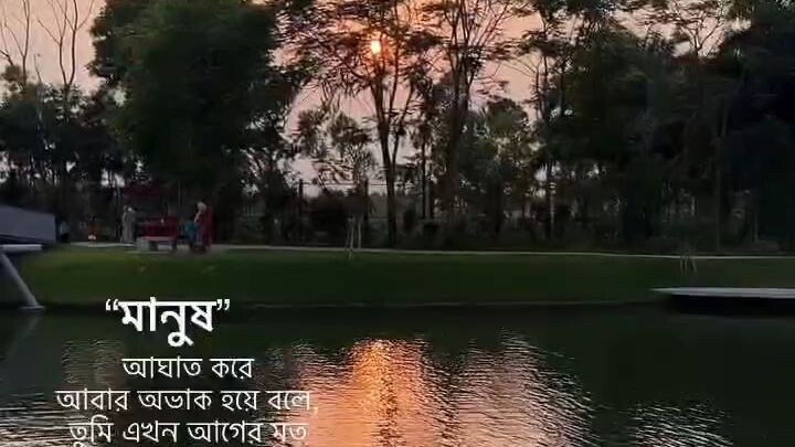 Sad Video