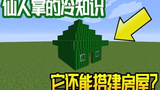 我的世界冷知识：仙人掌也可以搭建出房子？