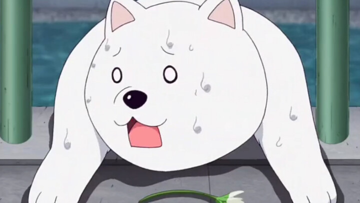 【Anime】Adegan terkenal tentang anjing
