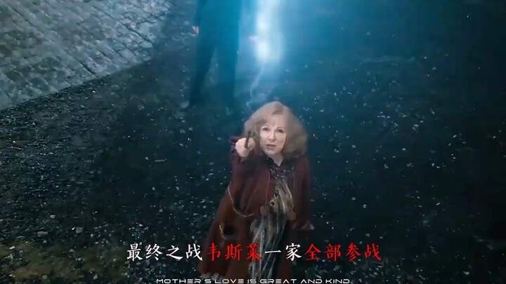 Harry Potter: She’s always treated Harry like her own son—honor to the great mother, Mrs. Weasley!