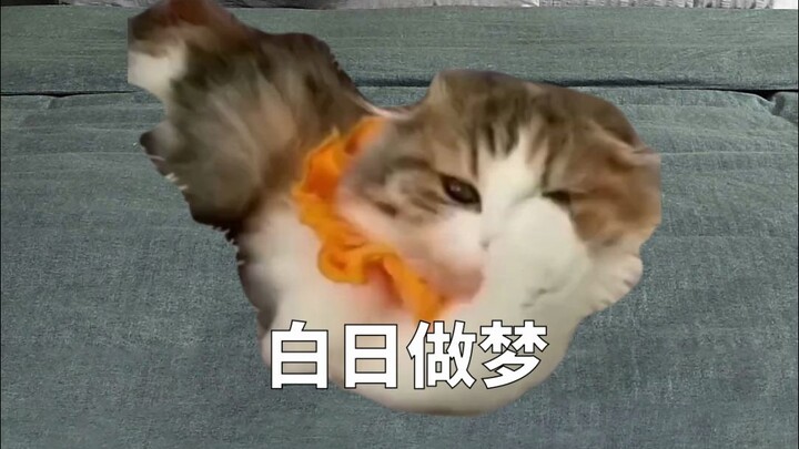 ว่าด้วยเรื่องที่ฉันเฝ้ารอรักหวานๆ แต่กลับไม่เคยออกไปไหนเลย