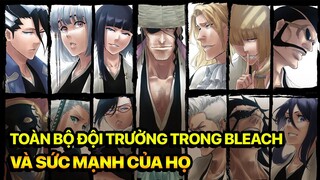 (Đường Tới Đại Chiến Quincy) Toàn Bộ Đội Trưởng Trong Gotei 13 Hiện Tại Và Sức Mạnh Của Họ (Bleach)