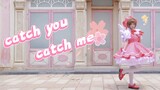 [Interpretasi]❀tangkap kamu tangkap aku❀ Kardinal Sakura op