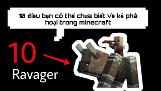 10 Điều Bạn Có Thể Chưa Biết Về Kẻ Phá Hoại Trong Minecraft