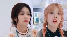 Bai Lu and Song Yuqi understood instantly after Wang Hedi tore off their brand name tags. They must