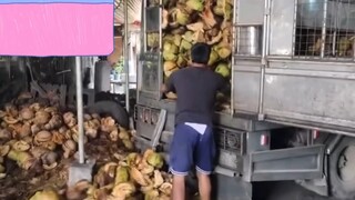 菲律宾🇵🇭椰子壳无烟炭 一手货源 厂家直销 欢迎实力买家贸易商进口商合作业务 咨询请私信