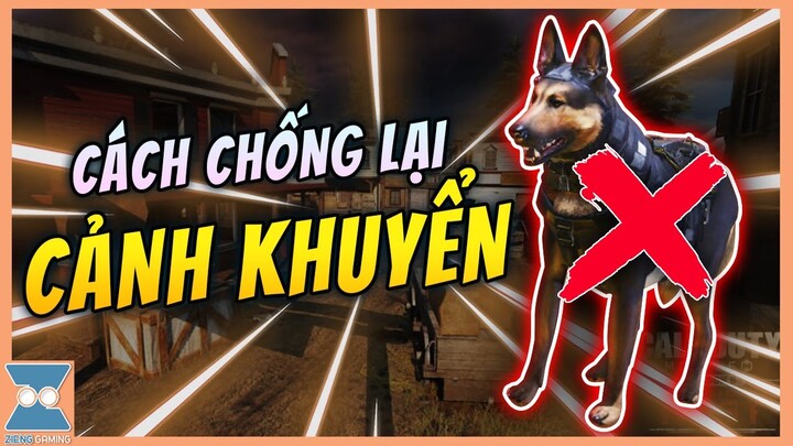 CALL OF DUTY MOBILE VN | NHỮNG CÁCH ĐƠN GIẢN ĐỂ CHỐNG LẠI CẢNH KHUYỂN K9 CỦA ZIENG | Zieng Gaming