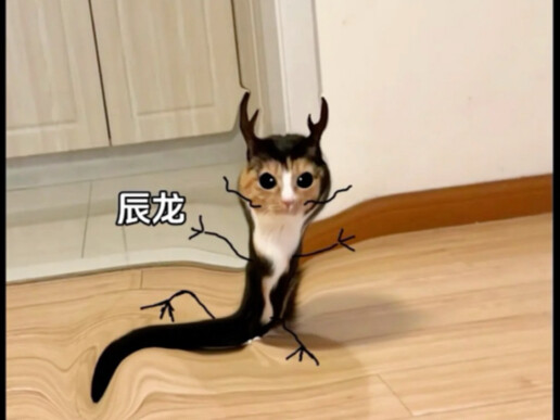 Con giáp Trung Quốc (Phiên bản Hoodie)