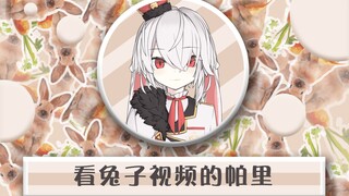 【精彩时刻】看帕里视频视频的兔子