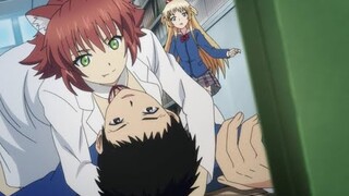 Dàn Harem Của Tôi Ở Ngôi Trường Mới - SS2 | Tóm Tắt Anime Hay