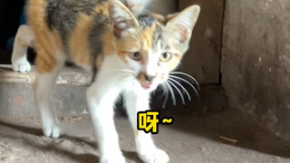 Mẹ ơi! Anh ấy làm con sợ quá!