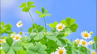 งจักรพรรดินี