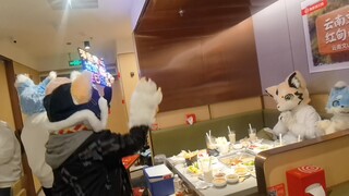 当福瑞服务员，在海底捞给福瑞过生日时….