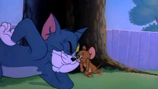 Tom and Jerry tập 51 - 55