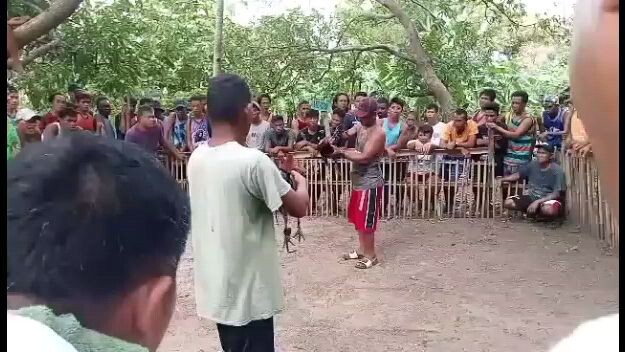 My Gilmore Hatch in Action.👌👌👌