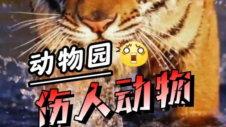 Why Are Harmful Animals Always Ultimately “Dealt With”?