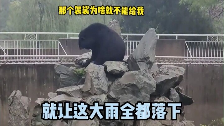 สวนสัตว์อีโม คุณพี่พนักงานเลี้ยงสัตว์ รีบเข้าไปเลยนะ!