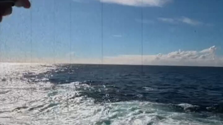 “Sea Fishing” “Rescue” “Fishing”