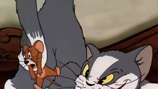 Tom paling ganas di episode pertama "Tom and Jerry" adalah puncak setting yang tak tertandingi