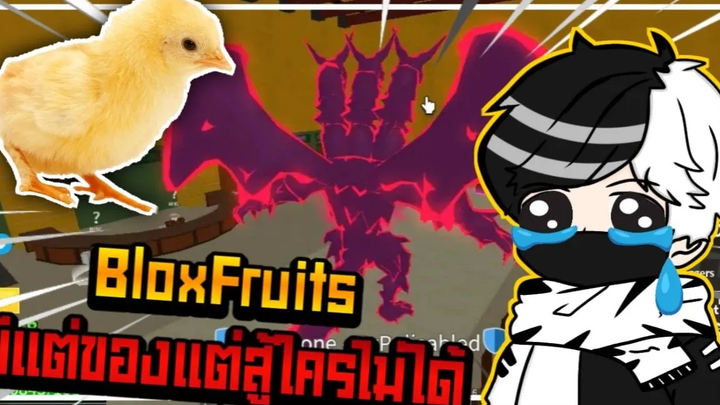 Roblox BloxFruits ผมแม่งกากมีแต่ของไม่มีฝีมือT_T