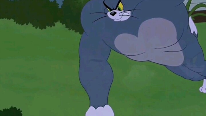 猫和老鼠健身记！