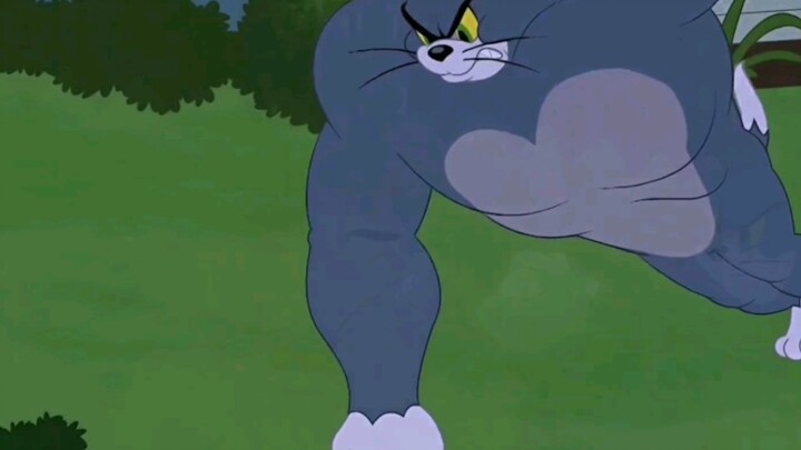 Nhật ký thể hình của Tom và Jerry!