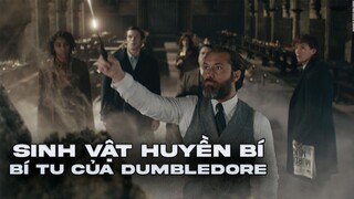 Phần 3 Fantastic Beast xem cũng hay phết | Review Fantastic Beast 3: Secret of Dumbledore