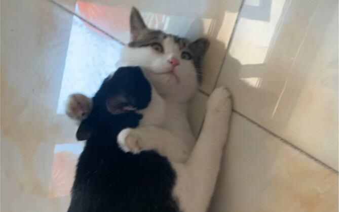 Kutang merah berbentuk sepasang burung mandarin yang dijanjikan Mi masih tergantung di ikat pinggang