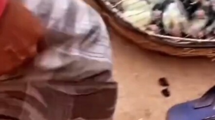 This little chick sure can handle the work!