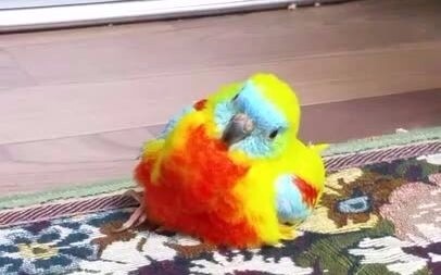 It’s so cozy here!