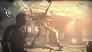 《信 手 拈 来》