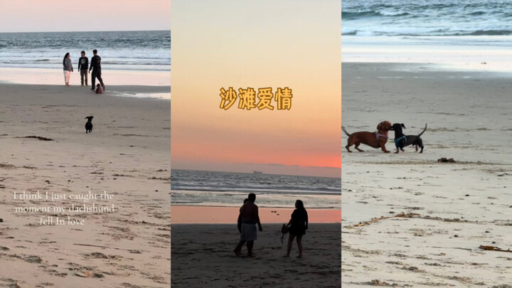 เรื่องราวความรักบนชายหาด🏖️