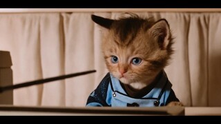 Harry Pawtter and the Philosopher's Stone -HARRY POTTER Parody Trailer with Cats