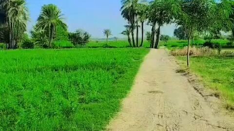 میرا پہلا ولاگ - گاؤں کی خوبصورت ہریالی اور پرسکون ماحول 🌳✨