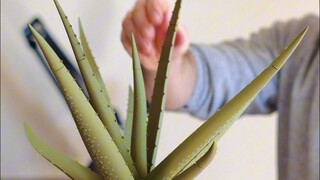 Haima International Media | Overseas tech blogger uses a 3D printer to create a multifunctional aloe