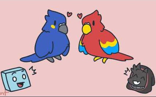 【สุก/สเคฟาโล】นกแก้วน่ารักของบลูเบอร์รี่และสตรอเบอร์รี่ Skeppy และ Bad
