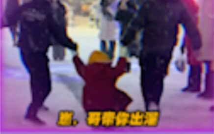 东北！真的别太宠了