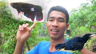 Cho Lia Thia Chúa Ăn và Bíp Bíp Ăn Chực Mồi Rắn - 7 Ân