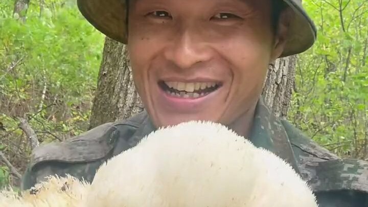 #MountainDelicacies#WildMushrooms