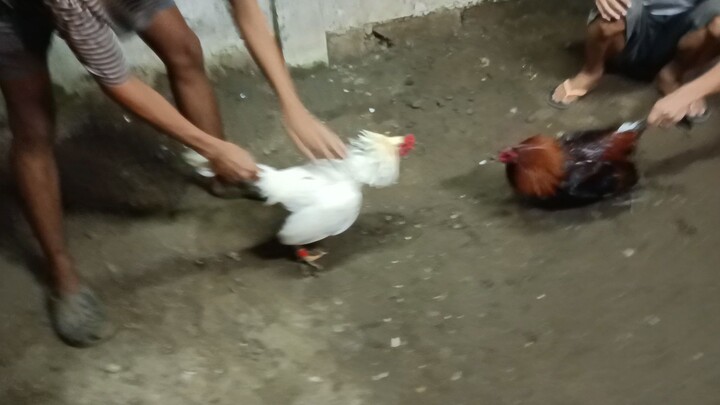 si inday na Gabi nag wawalis